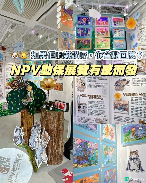 💬 聽見毛孩心聲｜太子NPV《如果動物會說話》展覽分享