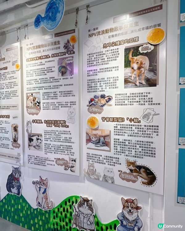 💬 聽見毛孩心聲｜太子NPV《如果動物會說話》展覽分享