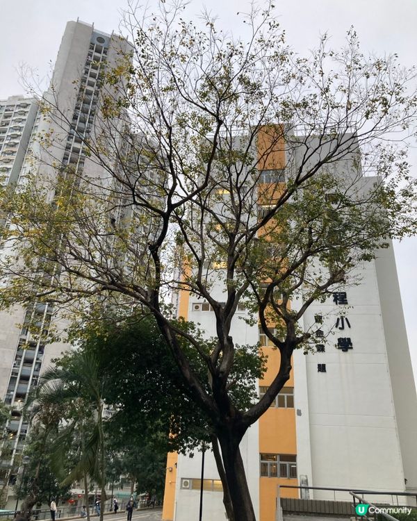 西貢海的一些點滴 