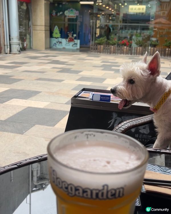 🐶元朗友善日式料理