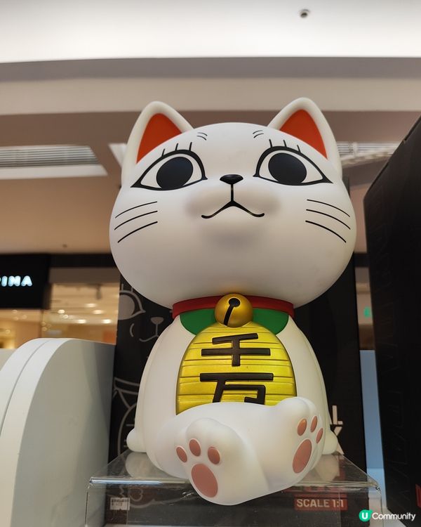 🛍️🤸又一城潮玩展！親子🧑‍🤝‍🧑必去打卡位！🤩