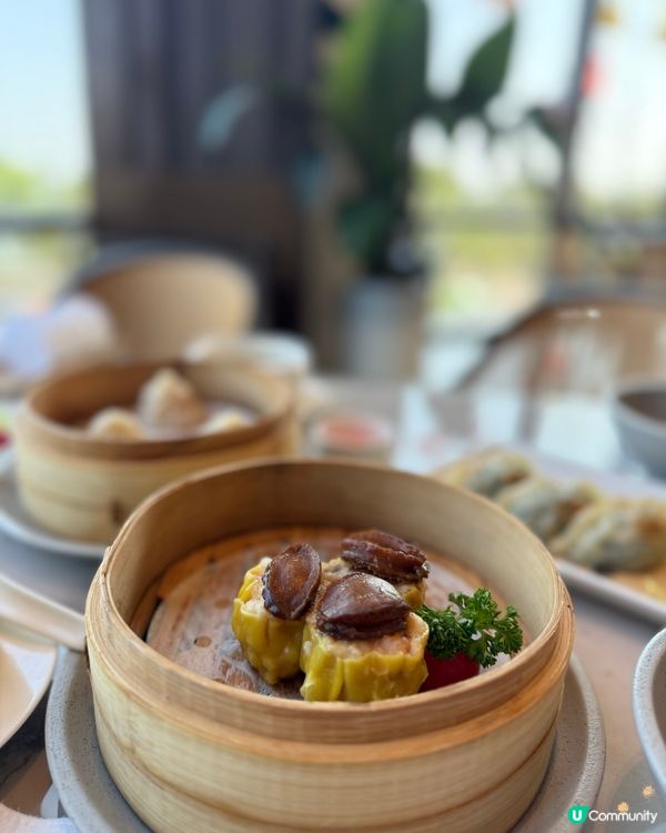 唔使坐飛機都可以來個陽光與海灘之旅🏝️☀️