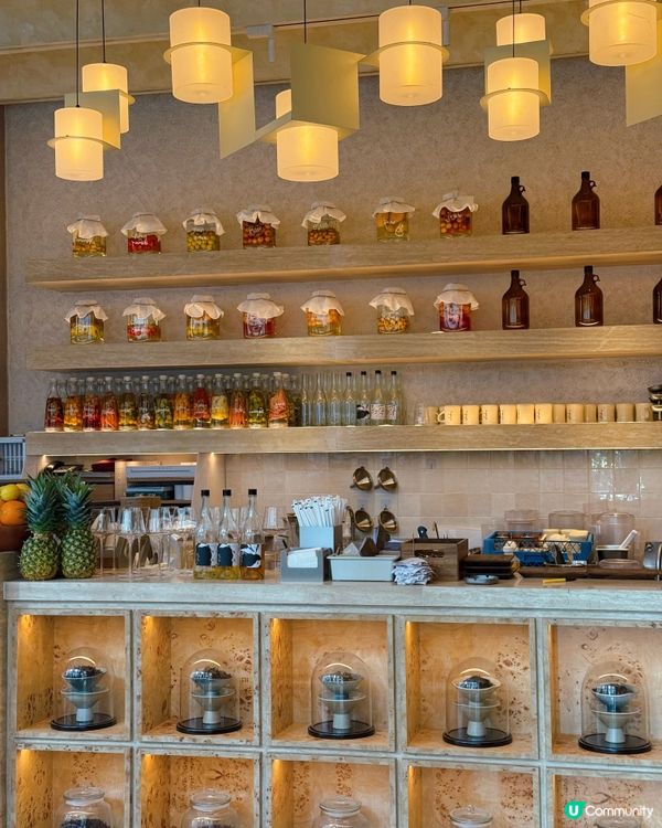 深圳福田新餐廳T-yoogee