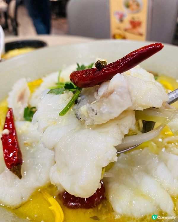 沙田➡️➡️➡️自己人