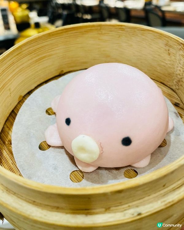 沙田➡️➡️➡️自己人