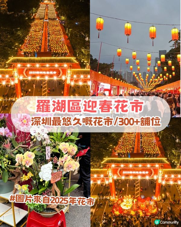 🌸2026 深圳新春花市全攻略🌸5 大區必去主場📍