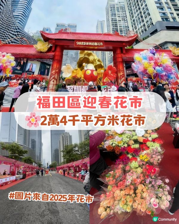 🌸2026 深圳新春花市全攻略🌸5 大區必去主場📍