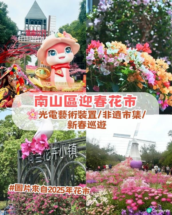 🌸2026 深圳新春花市全攻略🌸5 大區必去主場📍