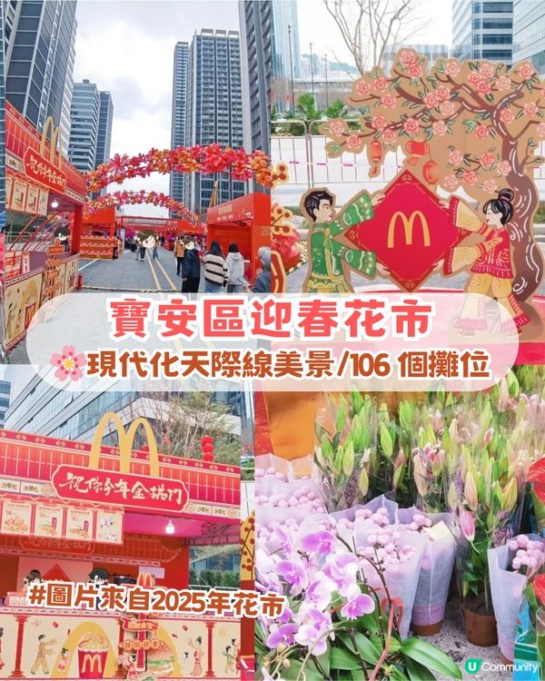 🌸2026 深圳新春花市全攻略🌸5 大區必去主場📍