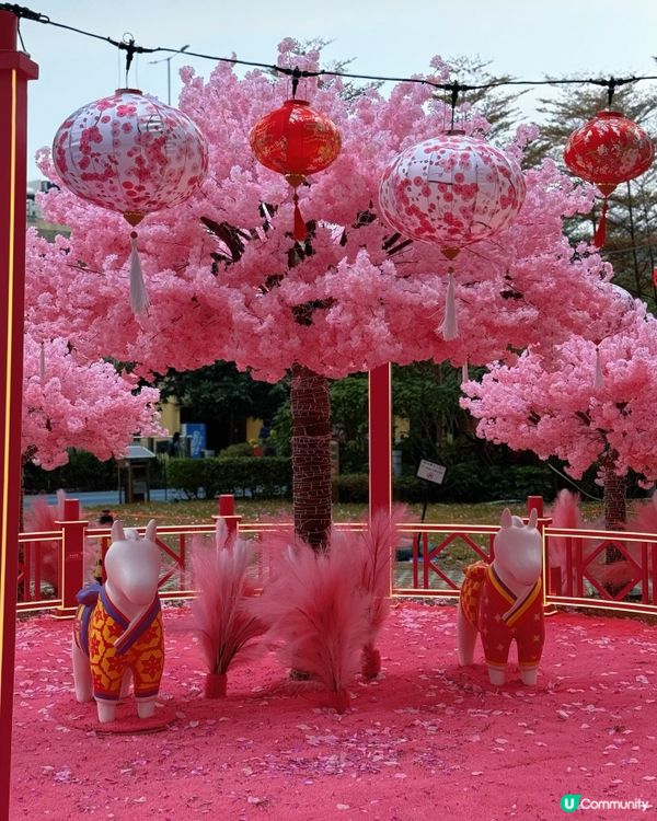 北角匯換上新春桃紅新裝啦