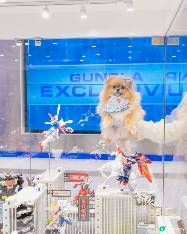 孝順女米蘇蘇帶爸爸睇高達！🤖💖