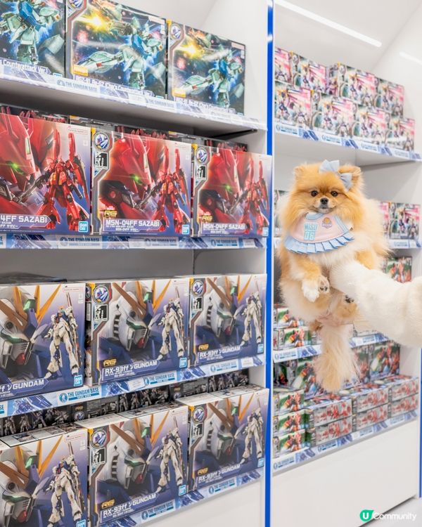 孝順女米蘇蘇帶爸爸睇高達！🤖💖