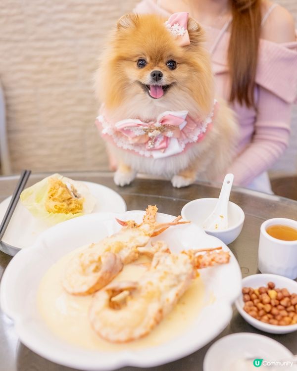 米蘇蘇米芝蓮一星慶爸爸生日 😋🥢