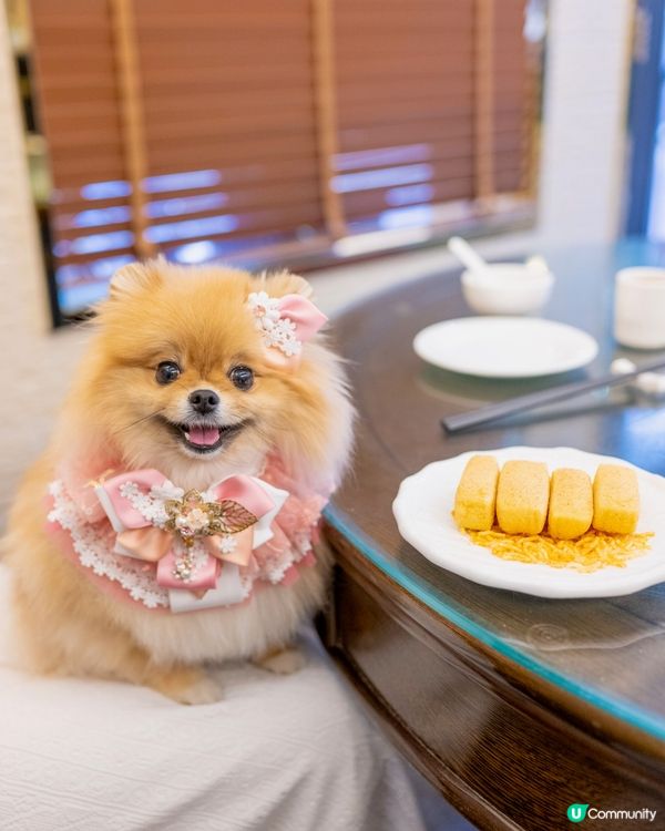 米蘇蘇米芝蓮一星慶爸爸生日 😋🥢