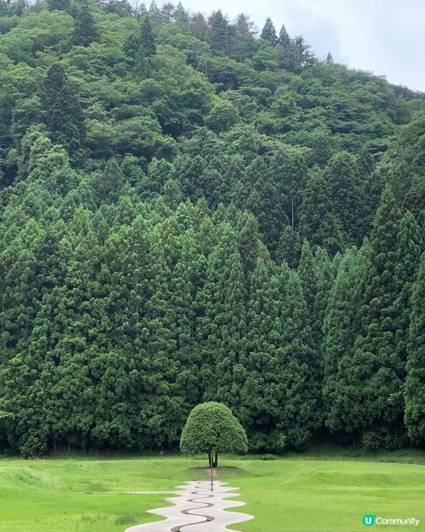 環遊日本🇯🇵｜奈良小眾旅行地日歸攻略🌳