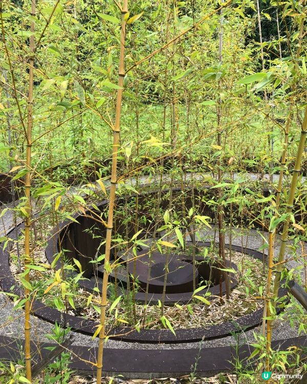 環遊日本🇯🇵｜奈良小眾旅行地日歸攻略🌳