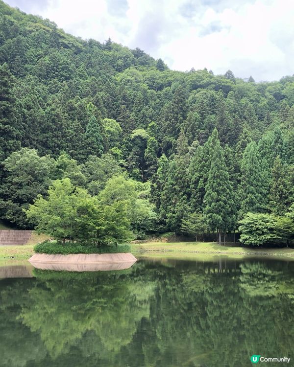 環遊日本🇯🇵｜奈良小眾旅行地日歸攻略🌳