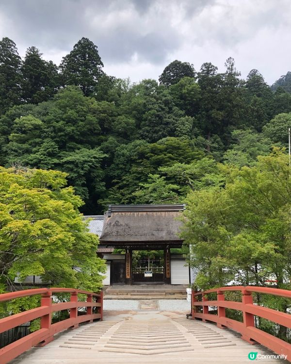 環遊日本🇯🇵｜奈良小眾旅行地日歸攻略🌳
