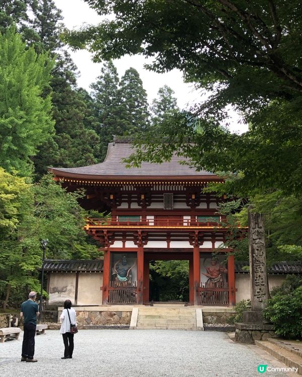 環遊日本🇯🇵｜奈良小眾旅行地日歸攻略🌳