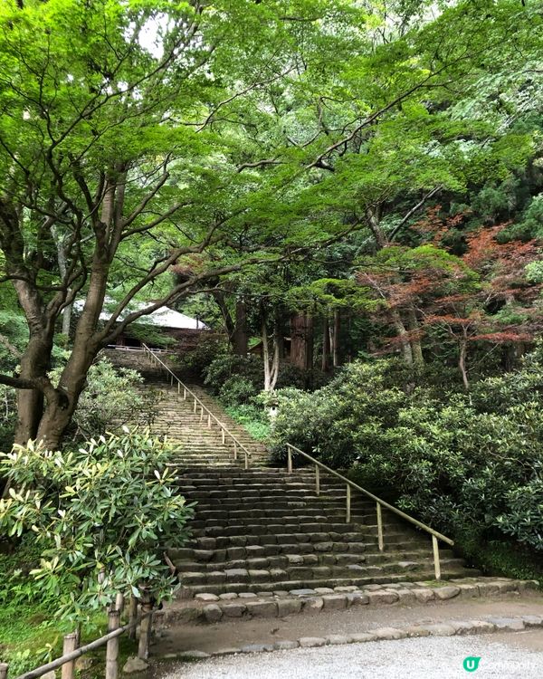 環遊日本🇯🇵｜奈良小眾旅行地日歸攻略🌳