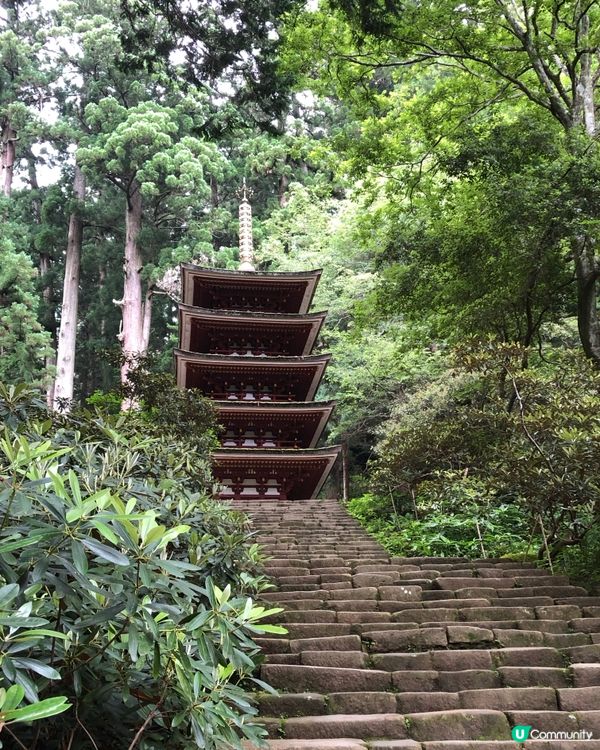環遊日本🇯🇵｜奈良小眾旅行地日歸攻略🌳