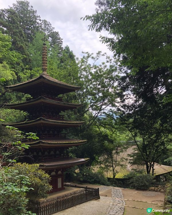 環遊日本🇯🇵｜奈良小眾旅行地日歸攻略🌳