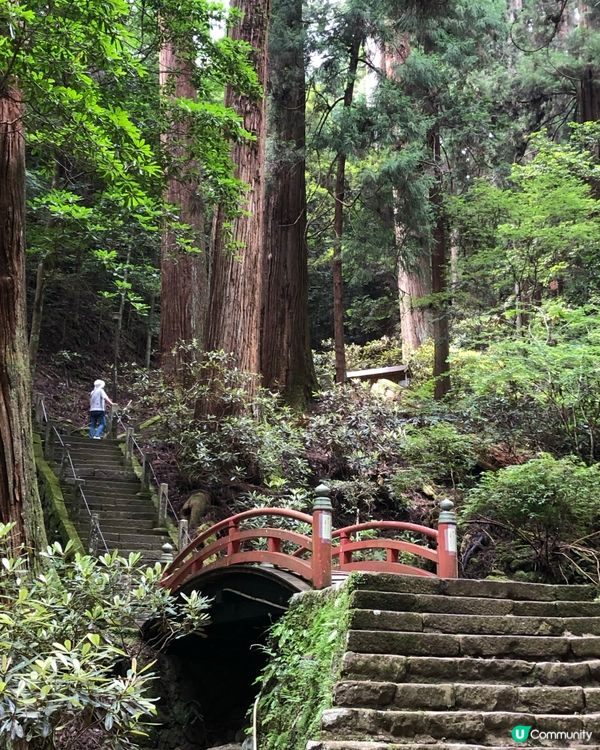 環遊日本🇯🇵｜奈良小眾旅行地日歸攻略🌳