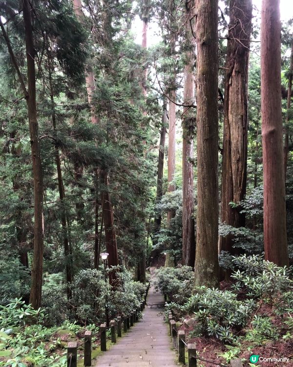 環遊日本🇯🇵｜奈良小眾旅行地日歸攻略🌳