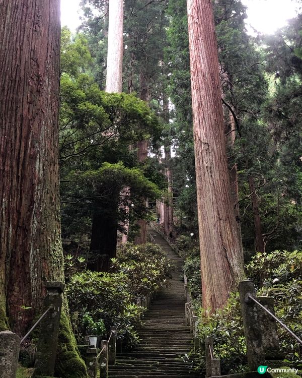 環遊日本🇯🇵｜奈良小眾旅行地日歸攻略🌳