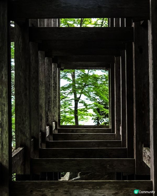 環遊日本🇯🇵｜奈良小眾旅行地日歸攻略🌳
