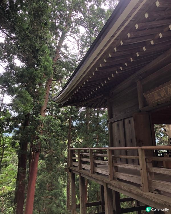 環遊日本🇯🇵｜奈良小眾旅行地日歸攻略🌳