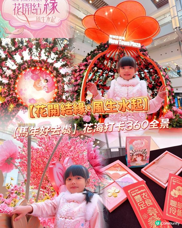 【馬年好去處】花海打卡360全景！日夜光影匯演🌸