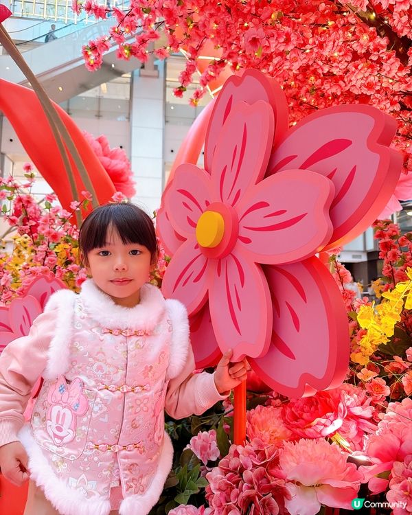 【馬年好去處】花海打卡360全景！日夜光影匯演🌸