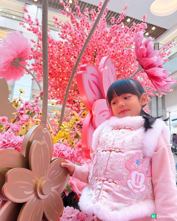 【馬年好去處】花海打卡360全景！日夜光影匯演🌸