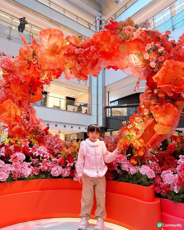 【馬年好去處】花海打卡360全景！日夜光影匯演🌸