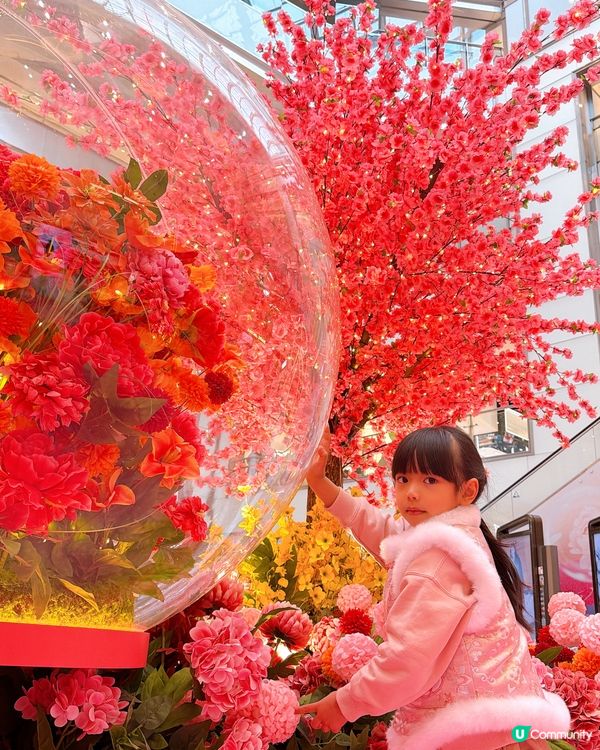 【馬年好去處】花海打卡360全景！日夜光影匯演🌸