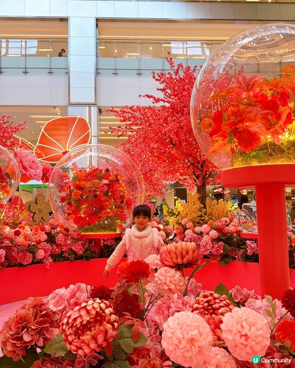 【馬年好去處】花海打卡360全景！日夜光影匯演🌸