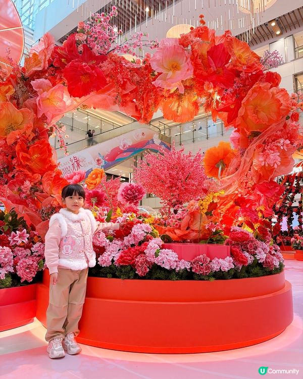 【馬年好去處】花海打卡360全景！日夜光影匯演🌸