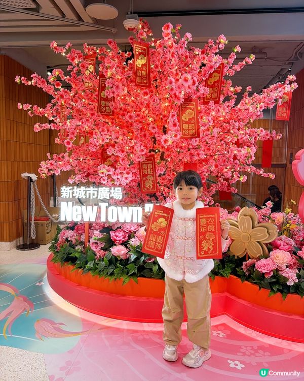 【馬年好去處】花海打卡360全景！日夜光影匯演🌸