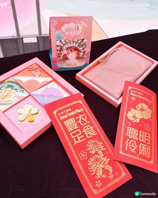 【馬年好去處】花海打卡360全景！日夜光影匯演🌸