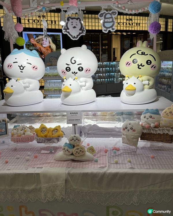 Chiikawa Baby 🤩🤩