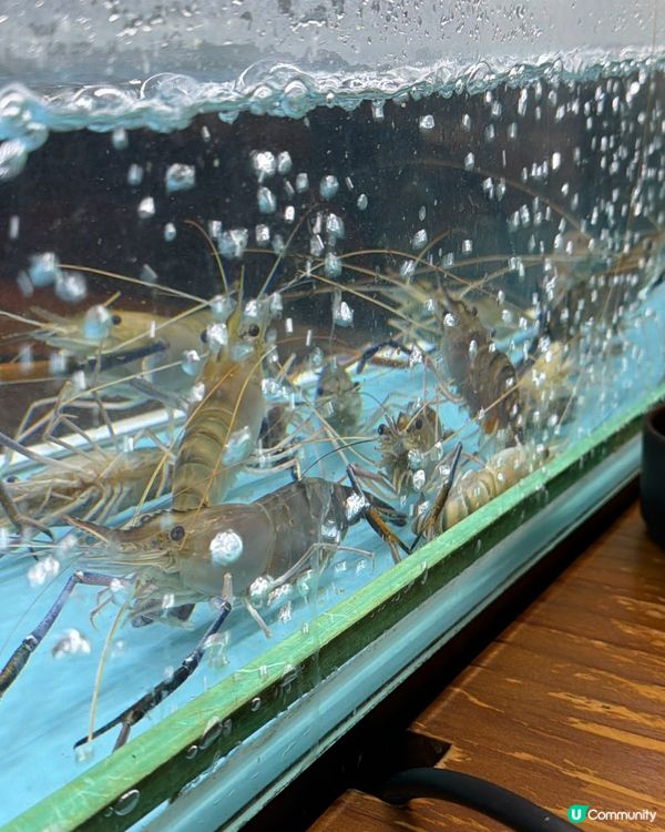 想食海鮮🦞又想食串燒同打邊爐？🍢🍲