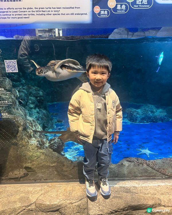 海洋公園🐼