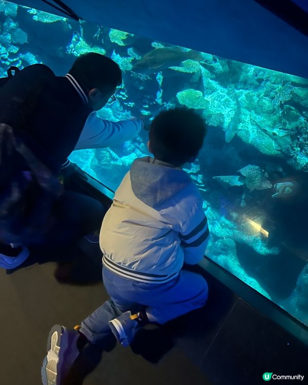 海洋公園🐼