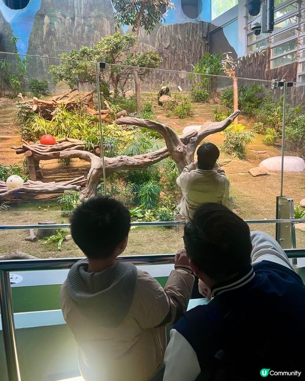 海洋公園🐼