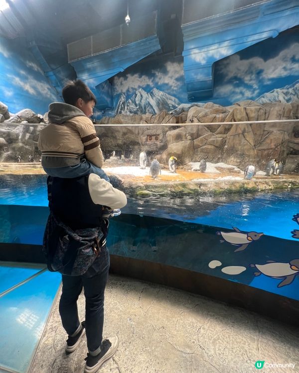 海洋公園🐼