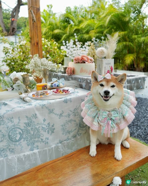 🌺隱世花園My Happiness Garden🌸