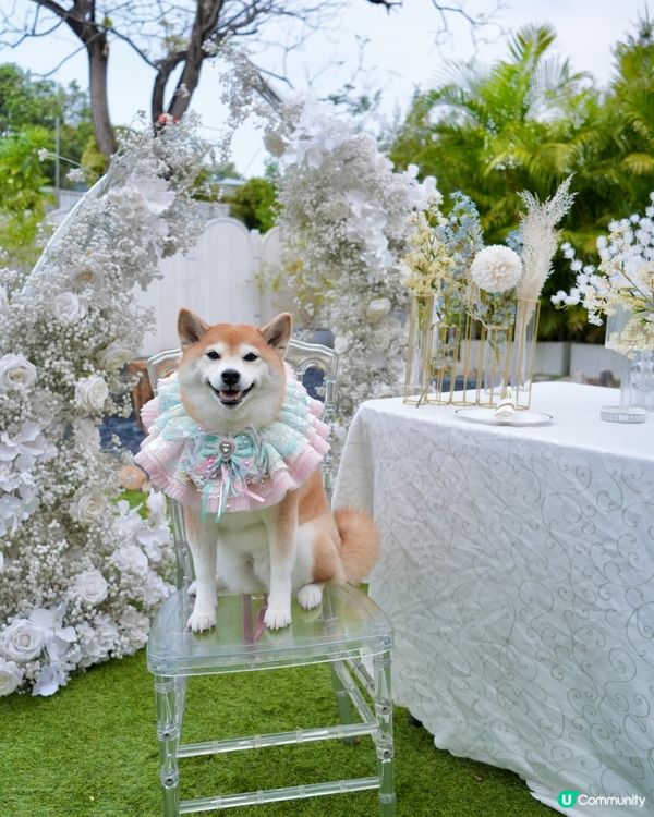 🌺隱世花園My Happiness Garden🌸