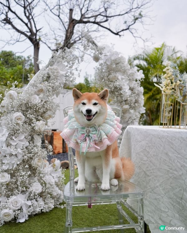 🌺隱世花園My Happiness Garden🌸