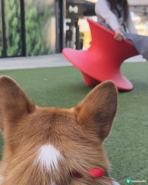 寵物遊樂天堂西沙go park